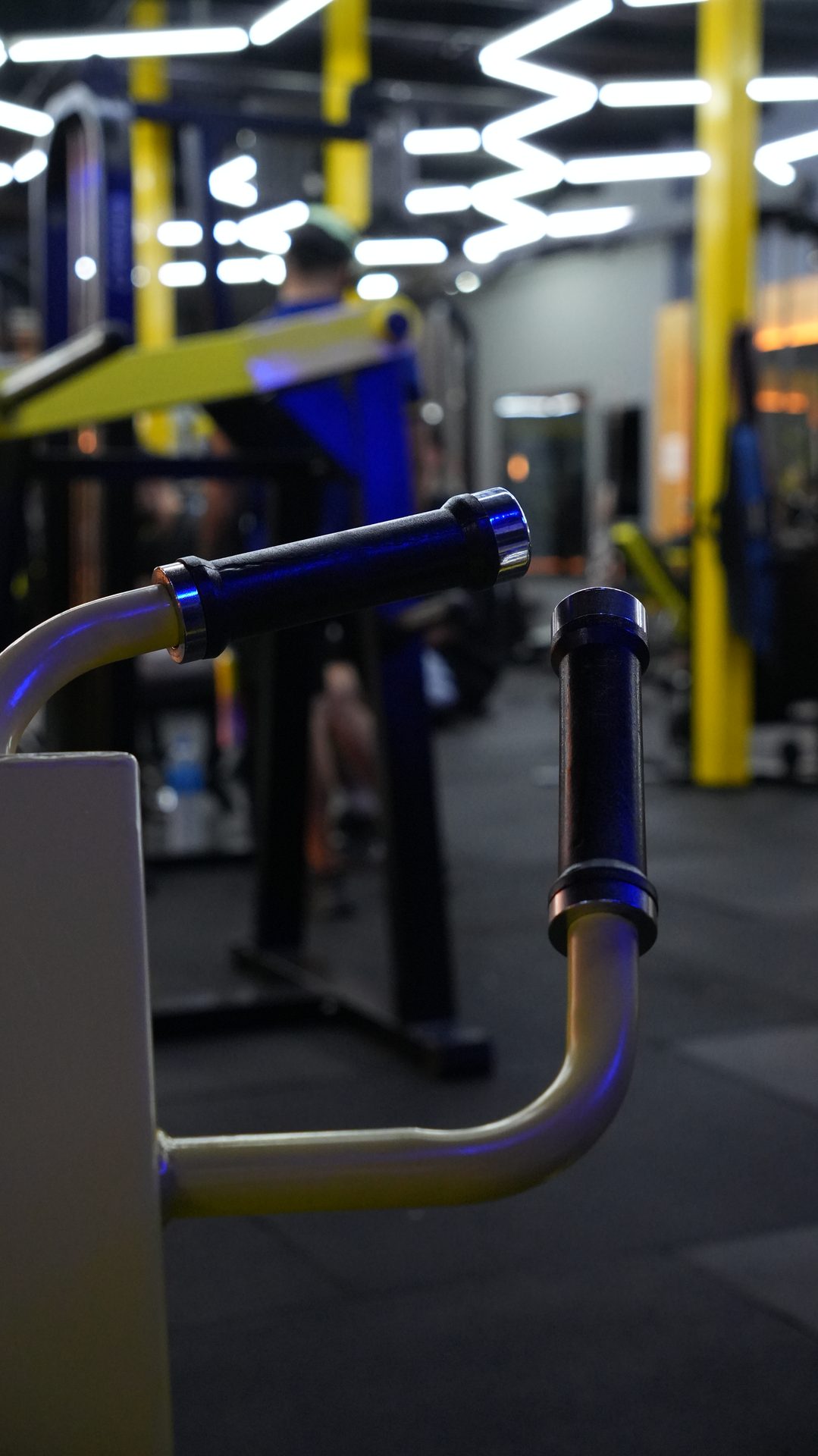 Máquina de poleas en el piso de Terra Fitness