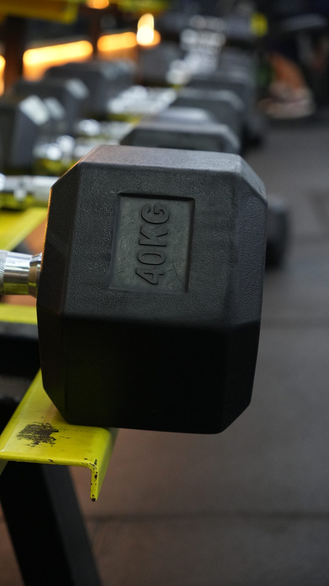 Mancuerna de 40kg en el sector de musculación