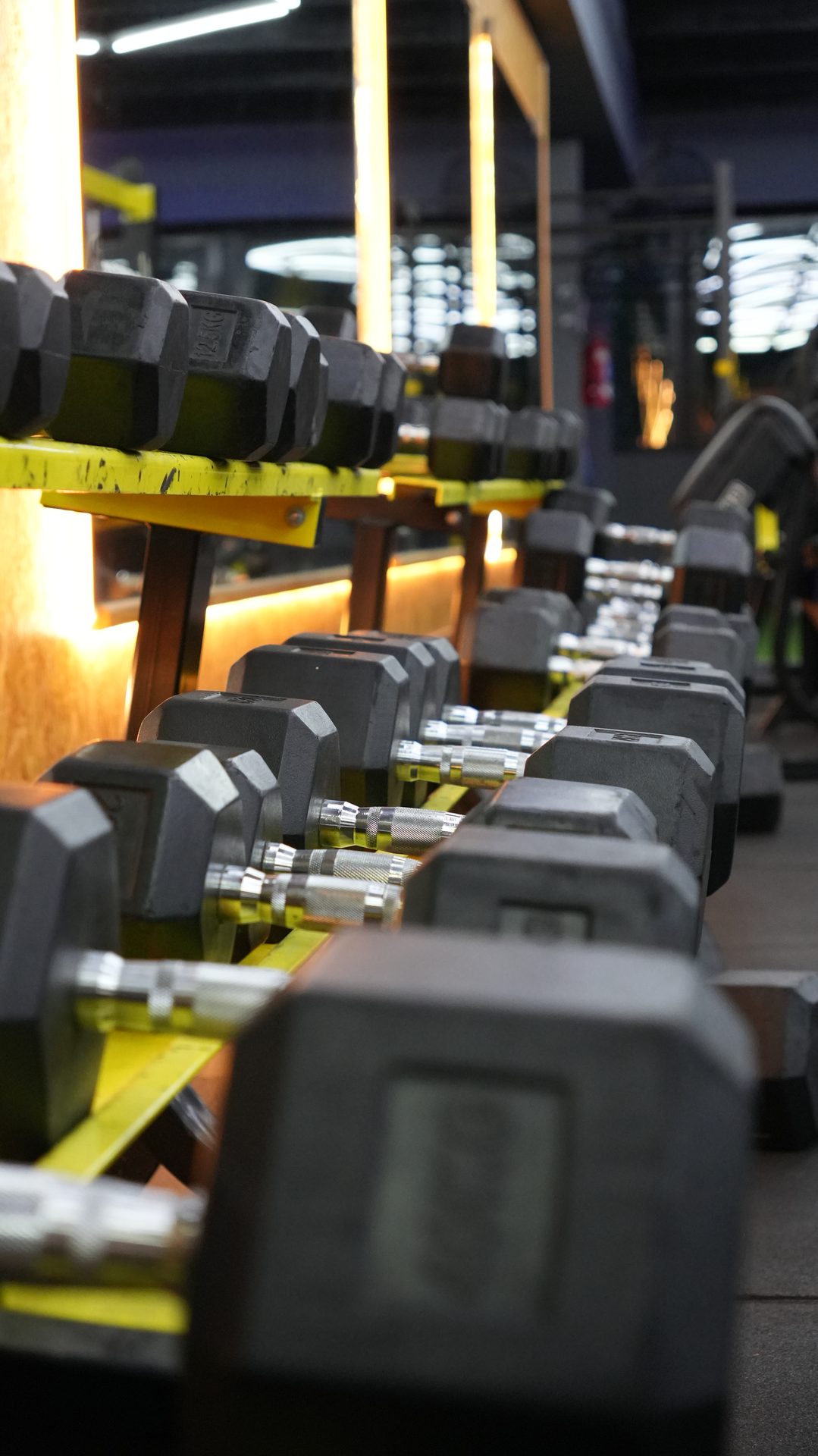 Fila de mancuernas ordenadas en Terra Fitness