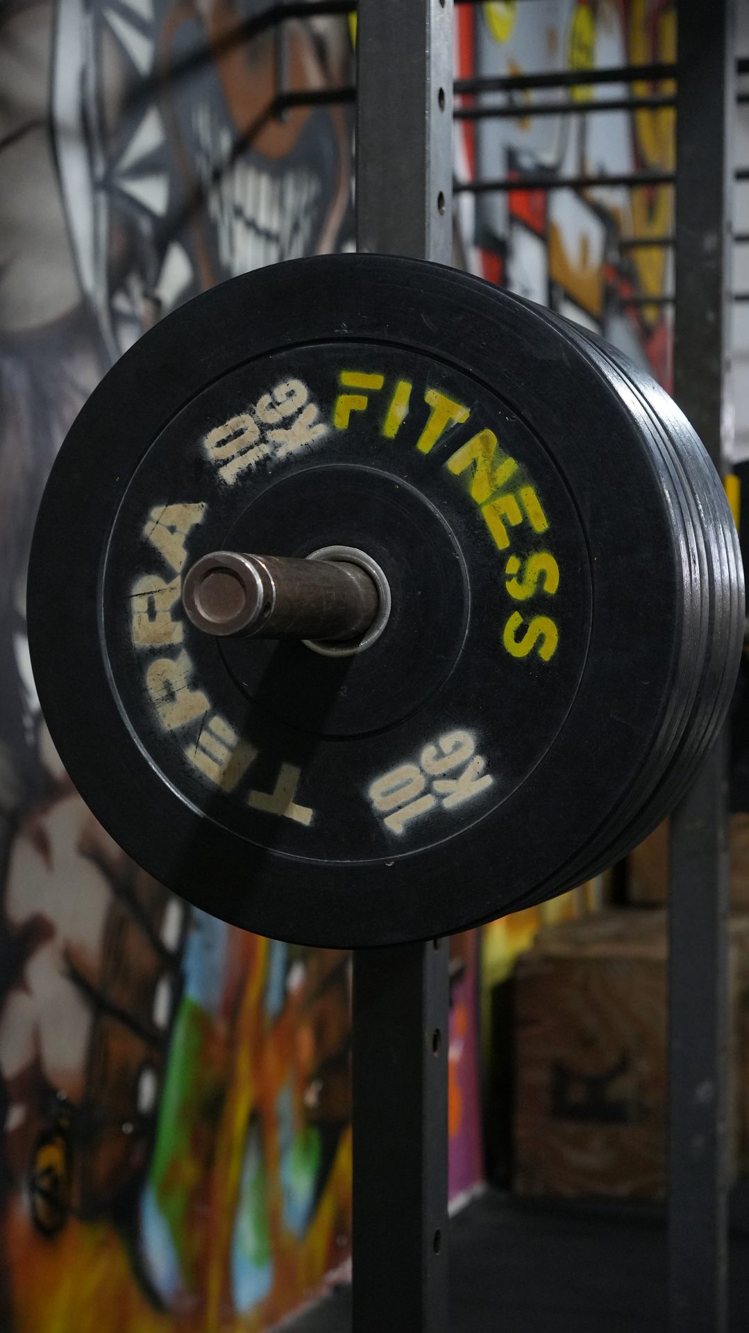 Discos de pesas con arte urbano en la pared de Terra Fitness