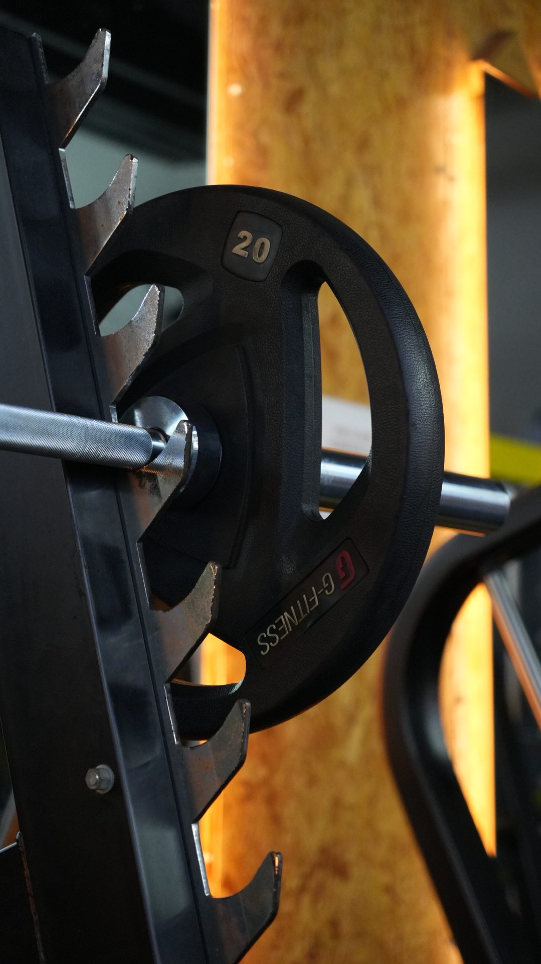 Rack de discos de pesas en Terra Fitness